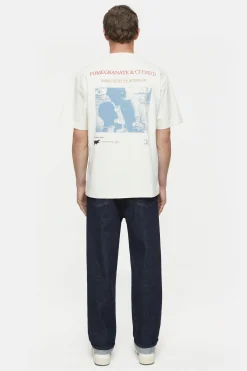 CLOSED T-Shirts>T-Shirt Met Print Ivoor